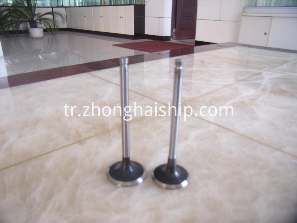 Dizel Valf SHANGCHAI Serisi Diesel Valve SHANGCHAI Series